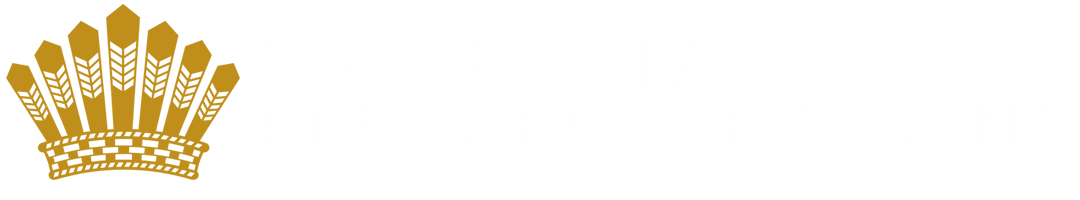 PRESIDENT IRFAAN ALI